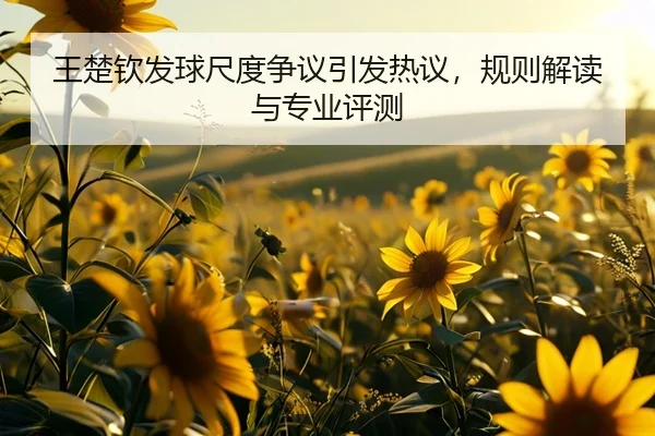 王楚钦发球尺度争议引发热议，规则解读与专业评测